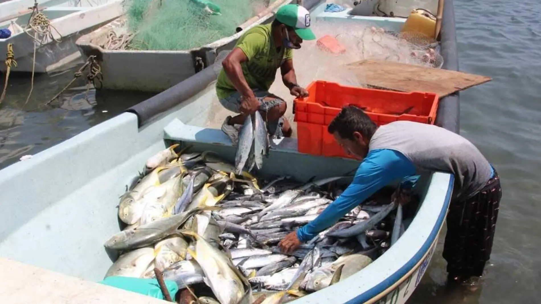 Pesca Veracruz